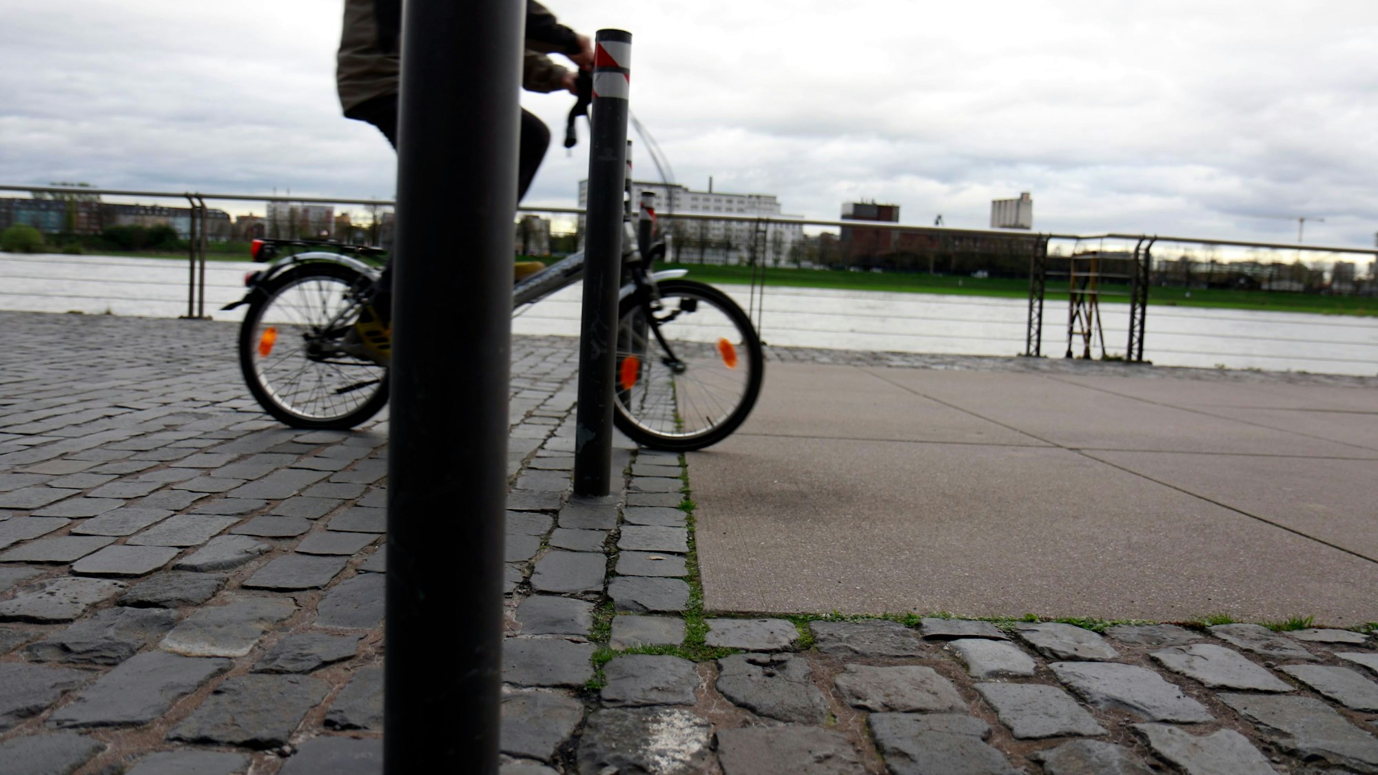 Poller stehen am Rhein in Köln