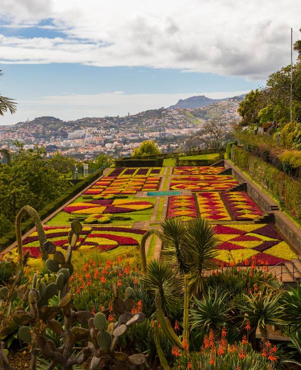 HANDOUT - Zum Themendienst-Bericht von Manuel Meyer vom 10. Juli 2018: Botanischer Garten in Madeira.