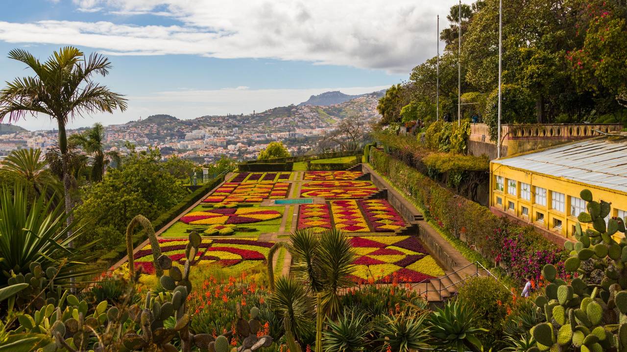 HANDOUT - Zum Themendienst-Bericht von Manuel Meyer vom 10. Juli 2018: Botanischer Garten in Madeira.