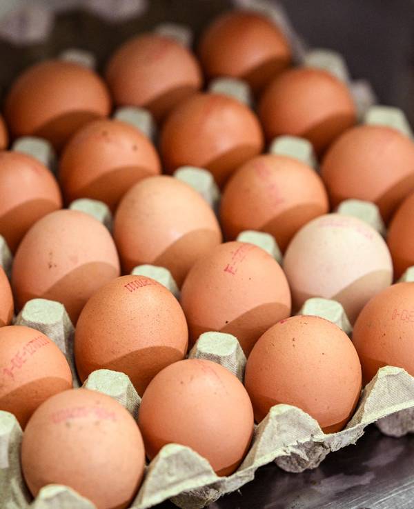 Eier liegen in einem Eierkarton.