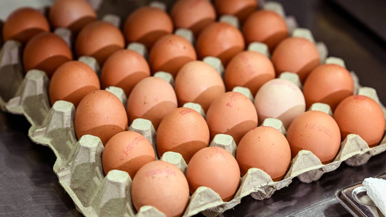 Eier liegen in einem Eierkarton.