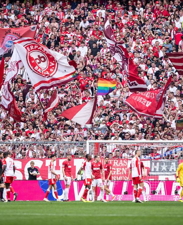 Die Fans des FC Bayern schwenken zahlreiche Fahnen auf der Tribüne beim Spiel gegen den 1. FC Köln.