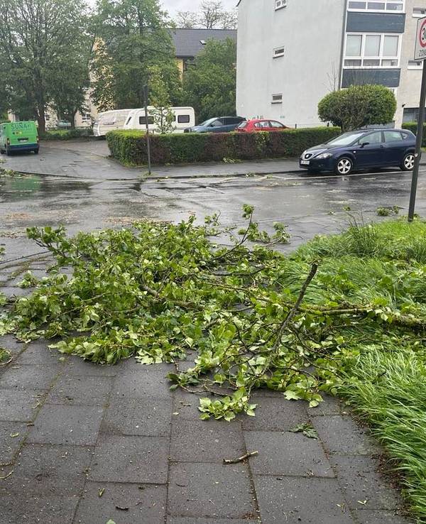 Blick auf die Roggendorfer Straße/Ecke Einsteinstraße in Köln-Flittard am 15. April 2024, nachdem schwere Sturmböen etliche Äste von den Bäumen rissen und auf die Straßen und Gehwege fegten.