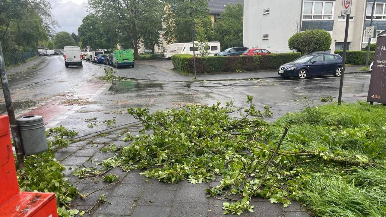 Blick auf die Roggendorfer Straße/Ecke Einsteinstraße in Köln-Flittard am 15. April 2024, nachdem schwere Sturmböen etliche Äste von den Bäumen rissen und auf die Straßen und Gehwege fegten.