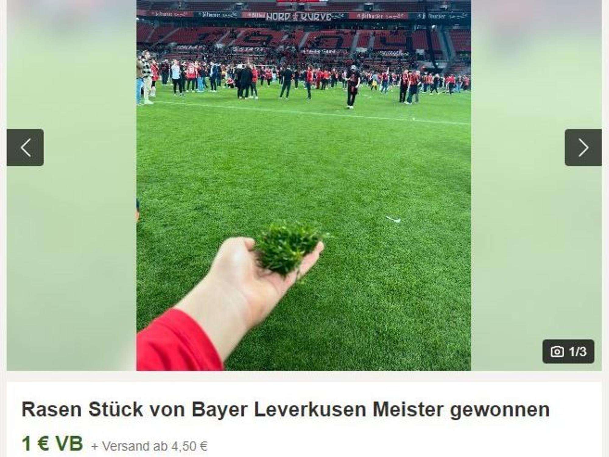 Dieses Stück Rasen wird bei Kleinanzeigen zum Verkauf angeboten. Es soll sich um Rasen aus der BayArena handeln.