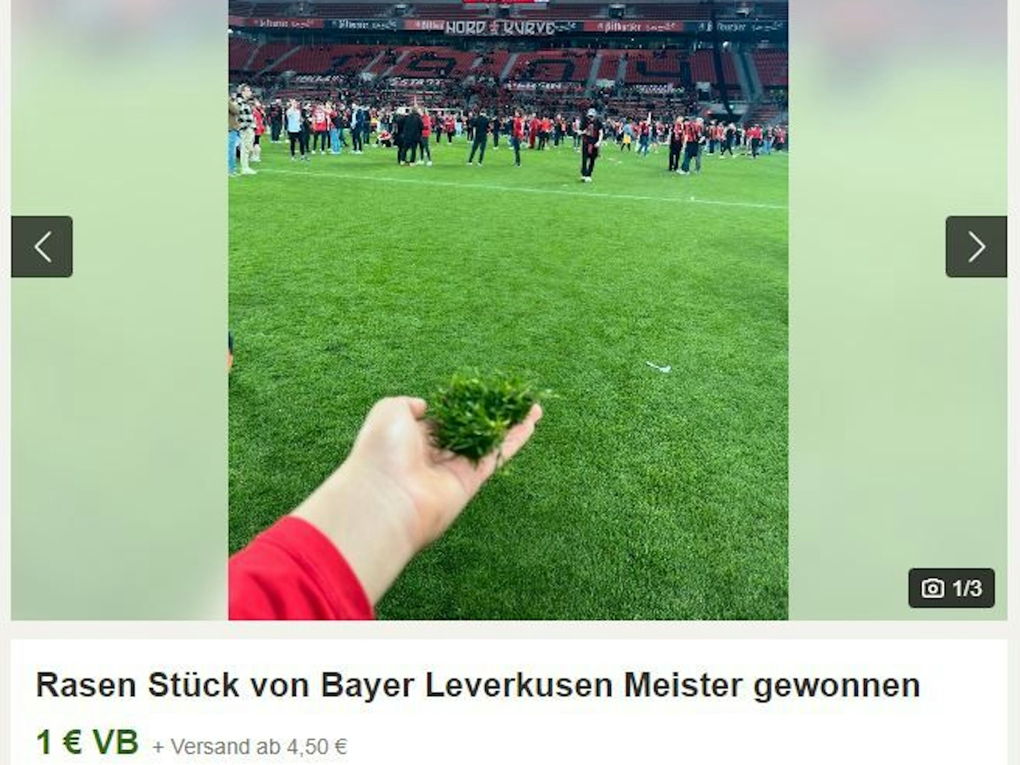 Dieses Stück Rasen wird bei Kleinanzeigen zum Verkauf angeboten. Es soll sich um Rasen aus der BayArena handeln.