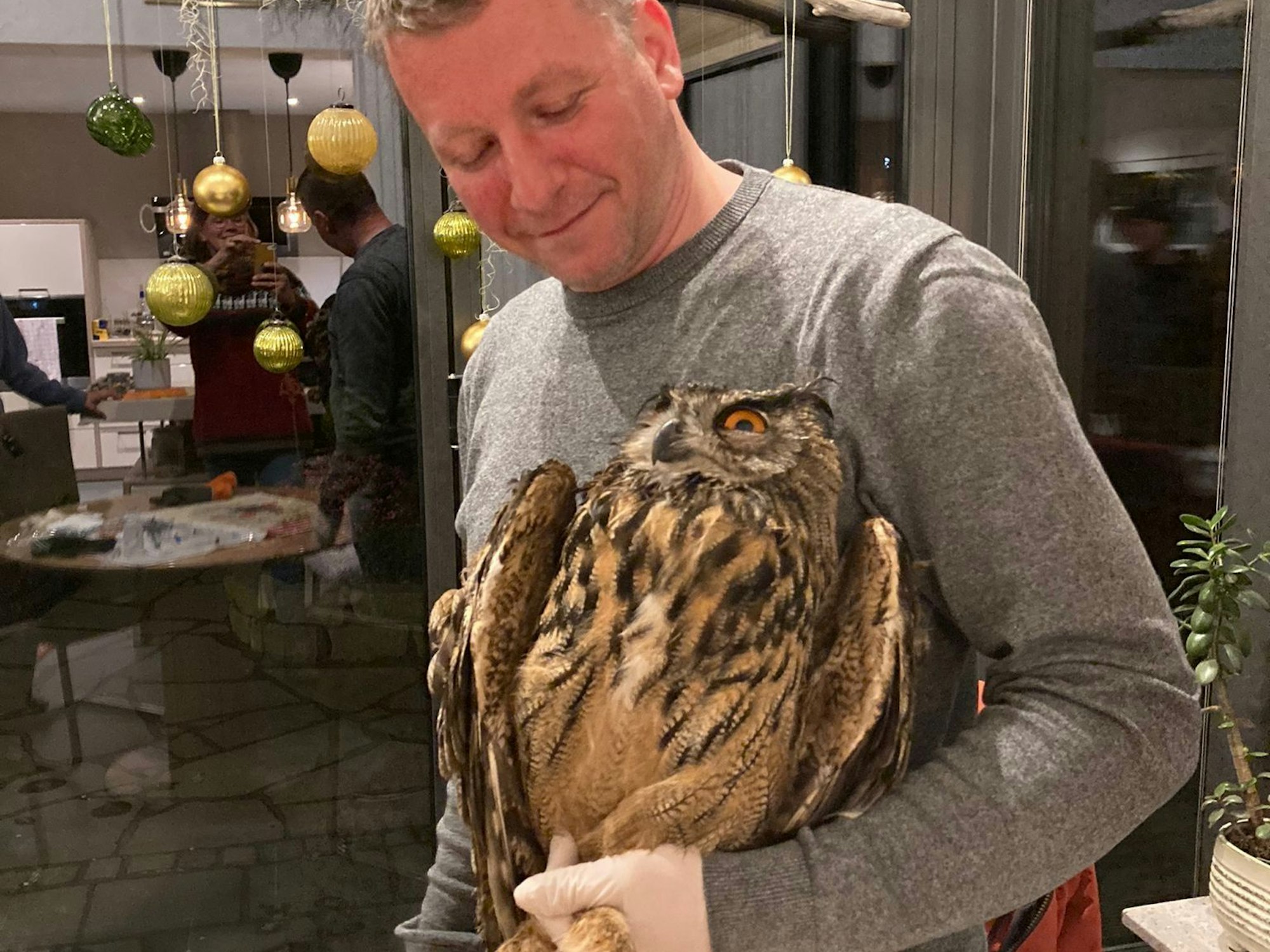 Ein Mann hält einen Uhu im Arm.