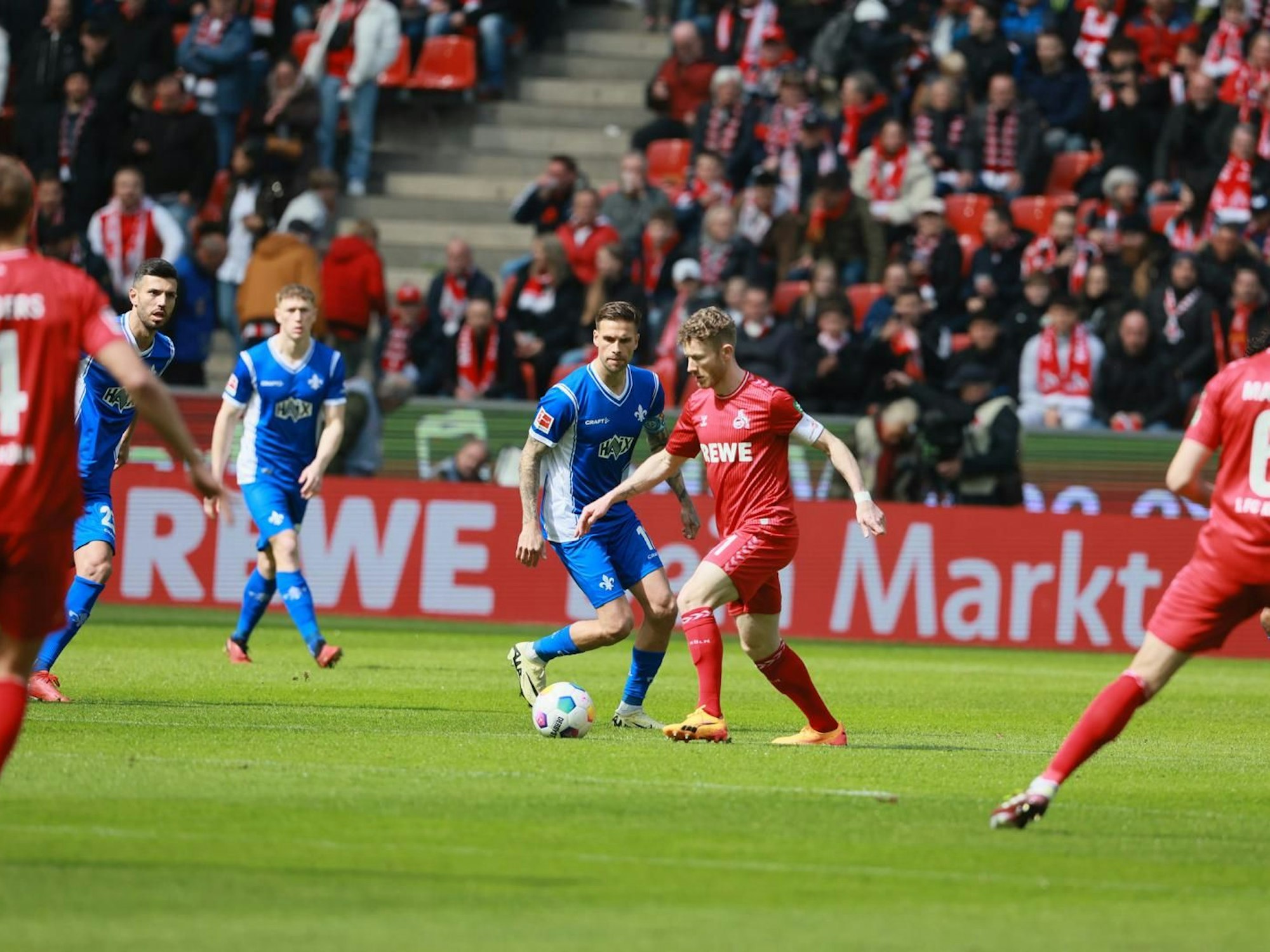 Kölns Trainer Timo Schultz blickt vor der Partie in die Runde.