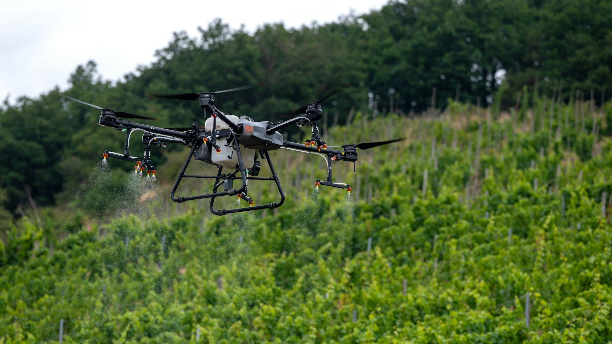 Eine Drohne vom Typ DJI Agras T30 fliegt in der Luft.