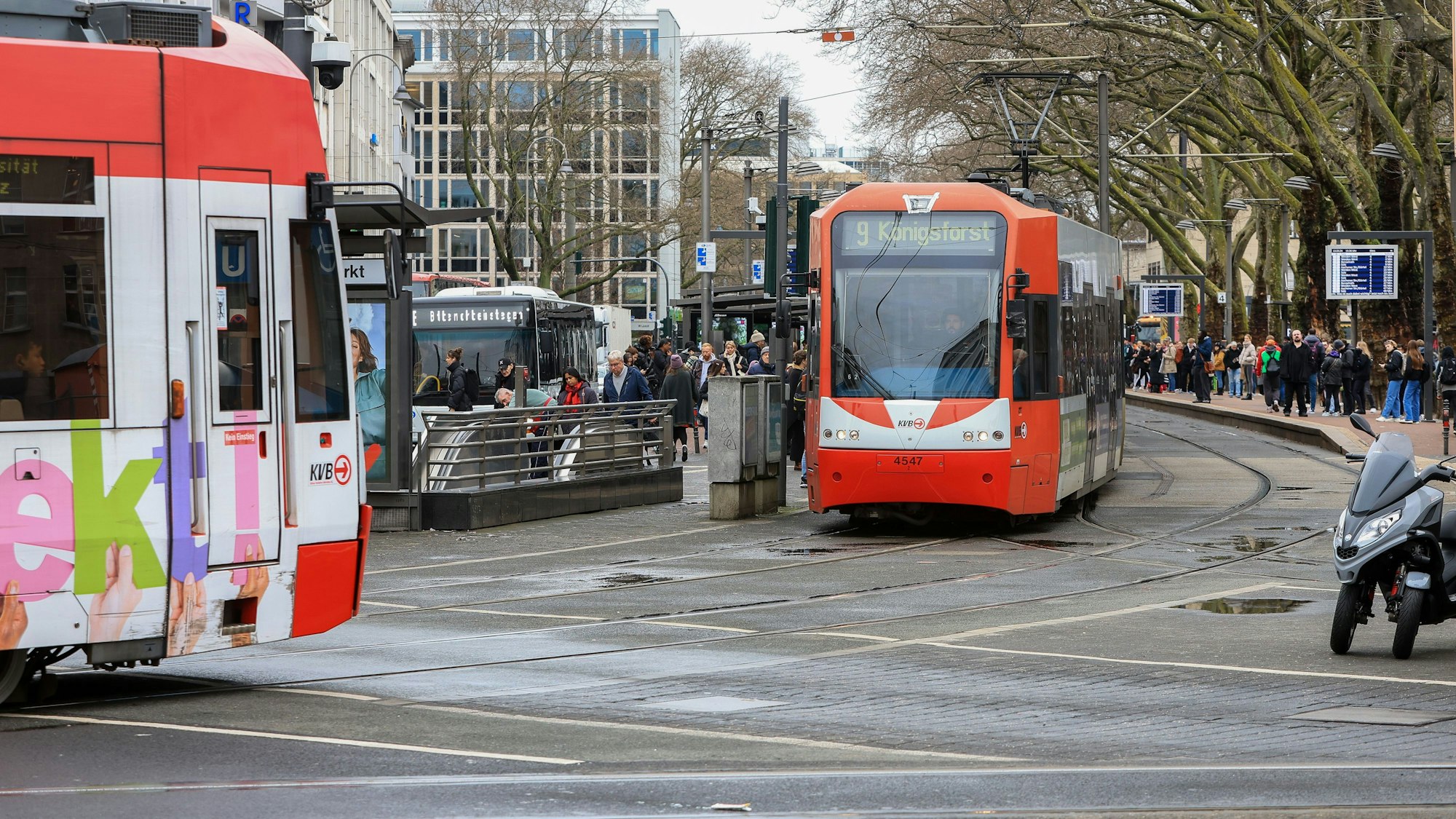 Eine KVB-Bahn am Neumarkt