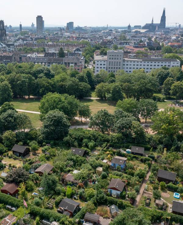 Blick aus der Luft auf den grünen Lohsepark in Köln-Nippes.
