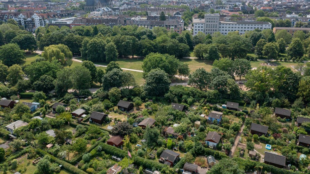 Blick aus der Luft auf den grünen Lohsepark in Köln-Nippes.