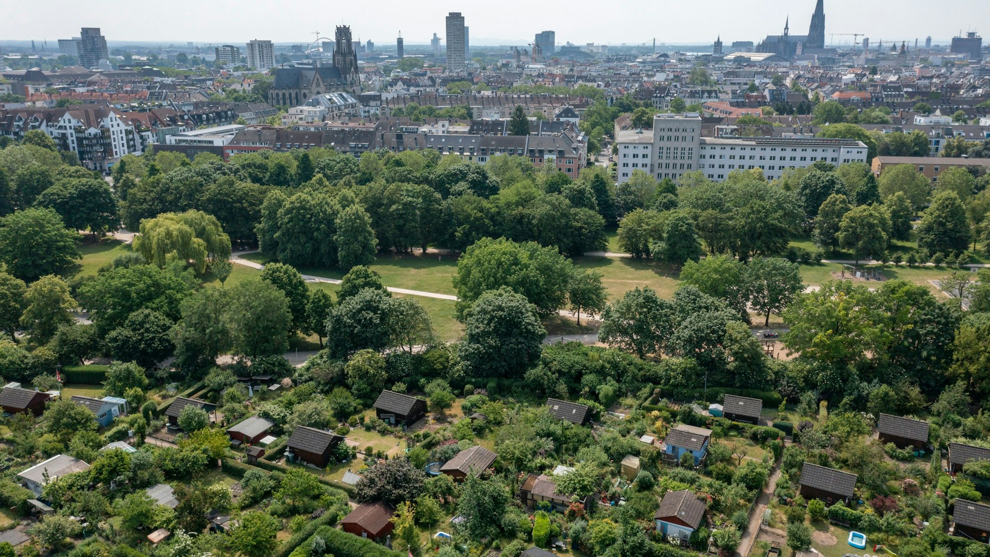 Blick aus der Luft auf den grünen Lohsepark in Köln-Nippes.