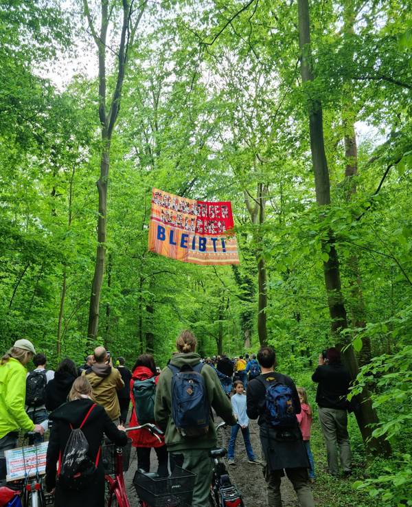 Eine Gruppe von Menschen läuft durch einen Wald.
