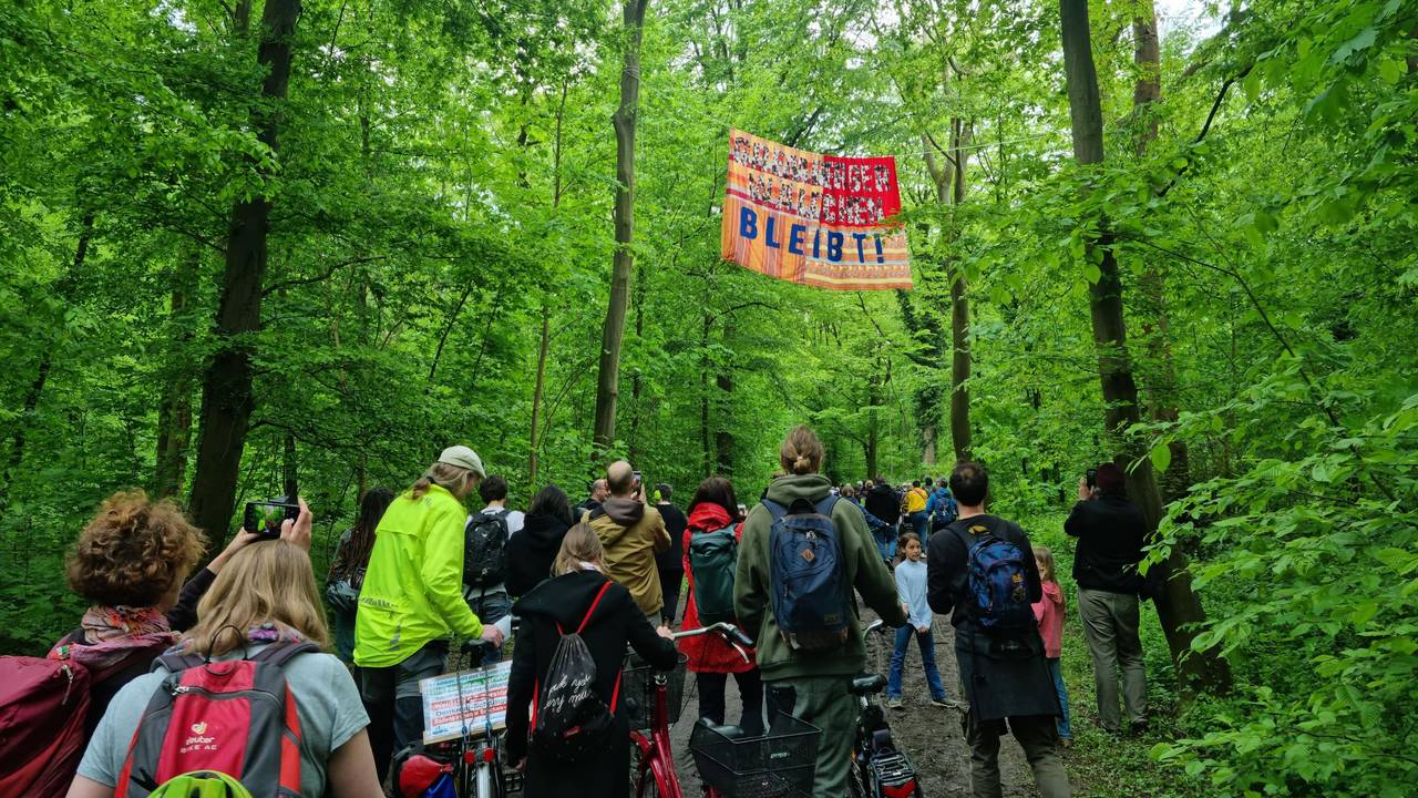 Eine Gruppe von Menschen läuft durch einen Wald.