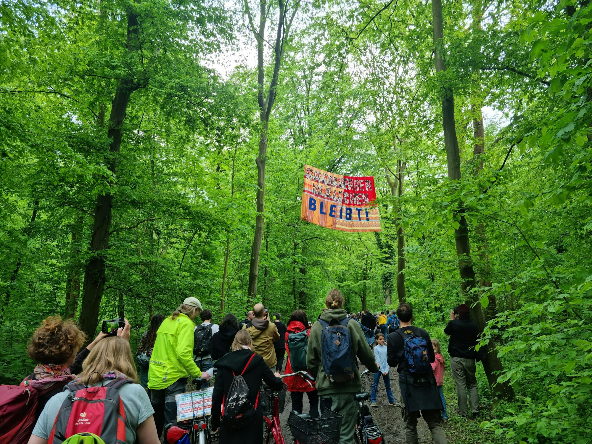 Eine Gruppe von Menschen läuft durch einen Wald.