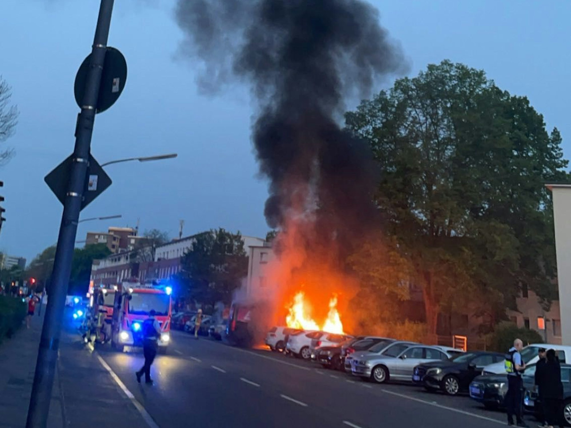 Flammen schlagen aus einer Reihe geparkter Autos, davor stehen Löschfahrzeuge der Feuerwehr.