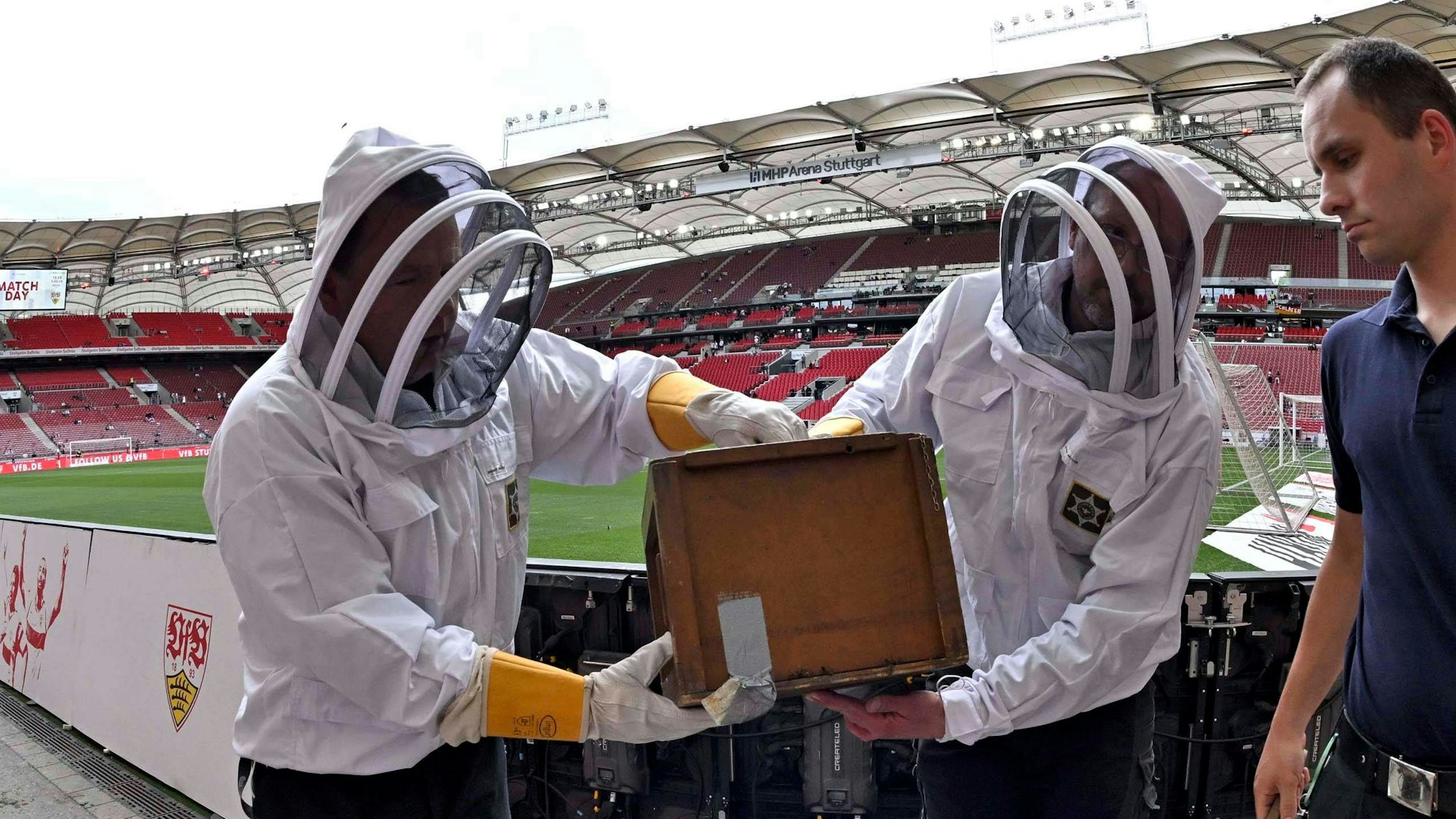 Imker bringen einen Bienenschwarm aus dem Stadion des VfB Stuttgart.
