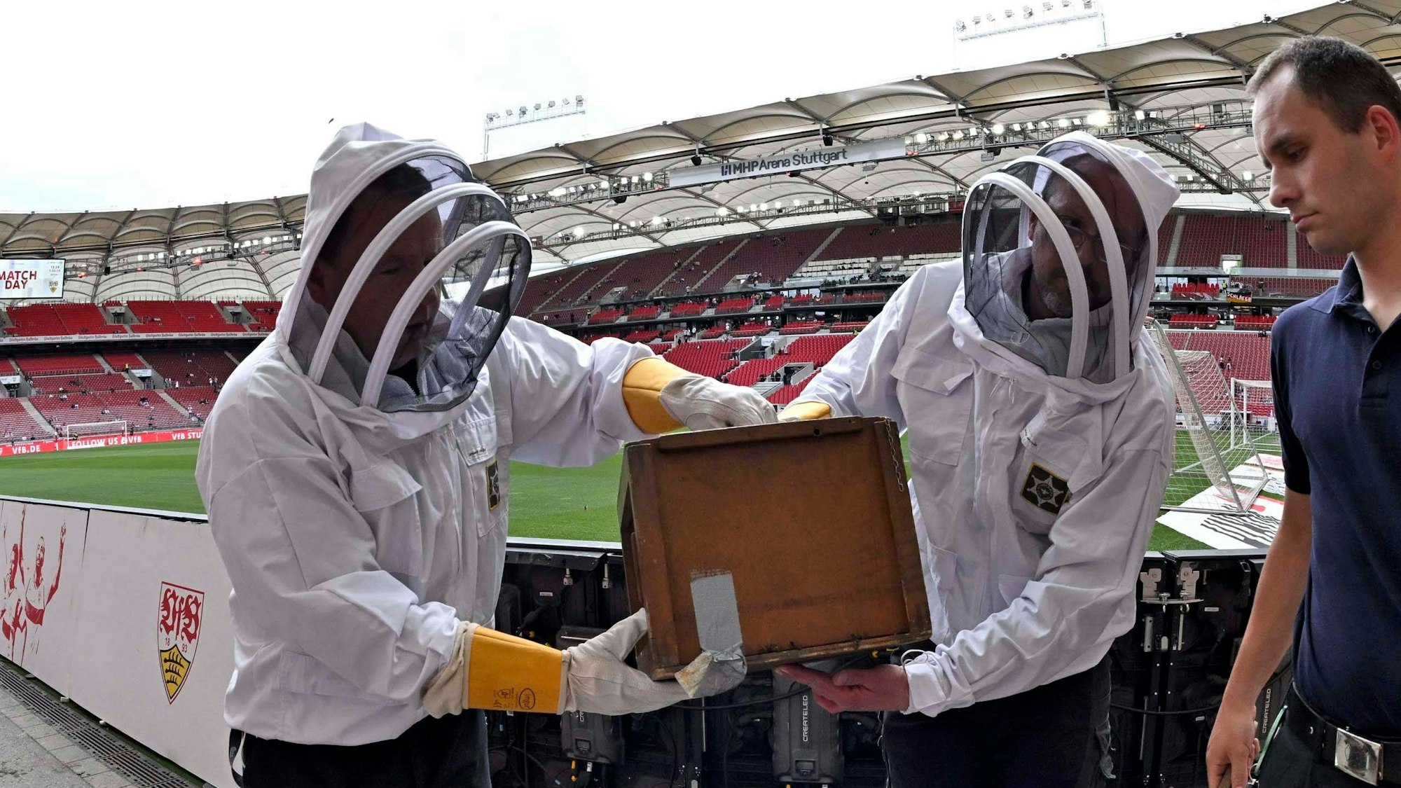 Imker bringen einen Bienenschwarm aus dem Stadion des VfB Stuttgart.