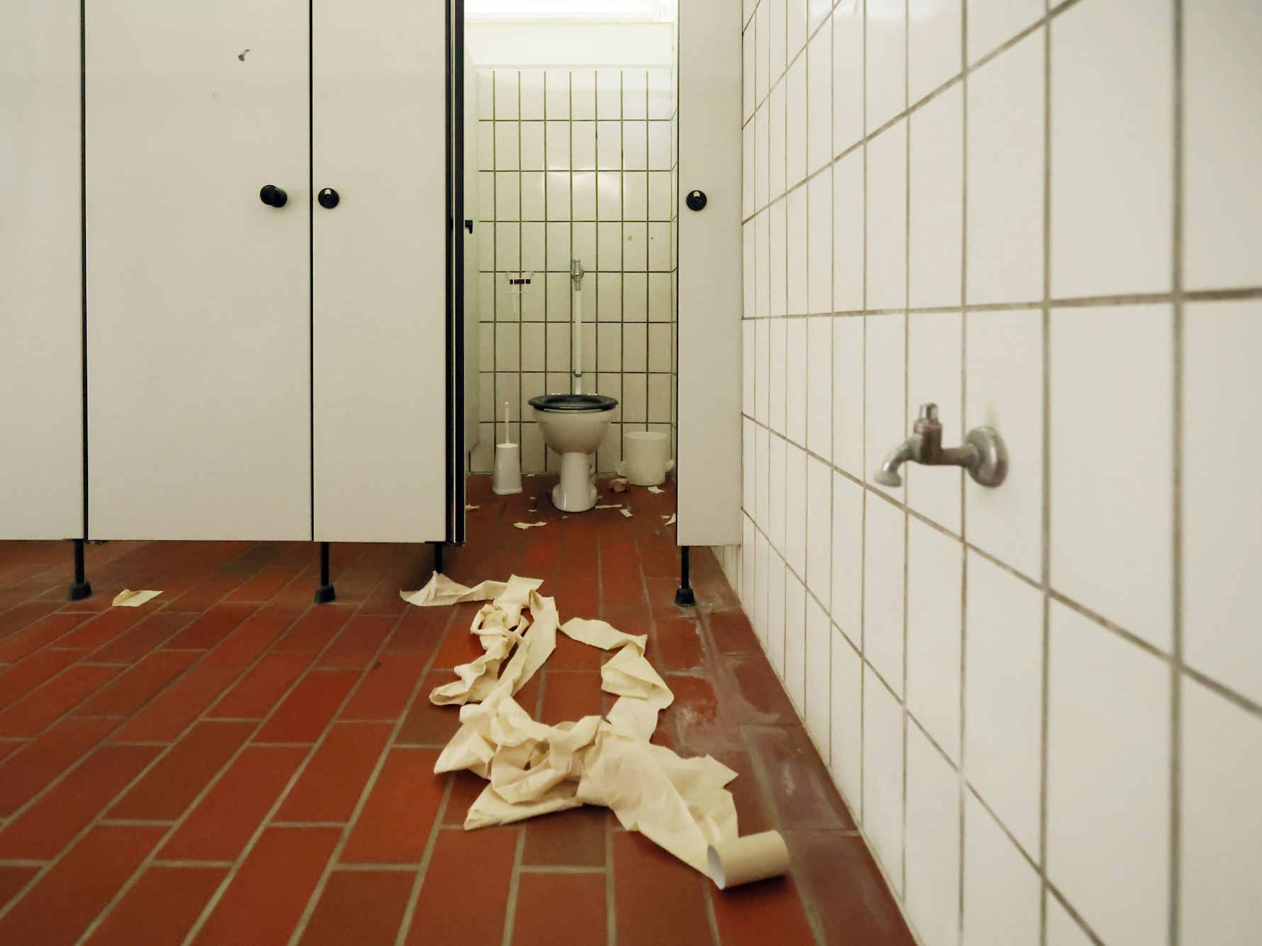Vor einer Toilette liegt eine ausgerollte Klorolle auf dem Boden.
