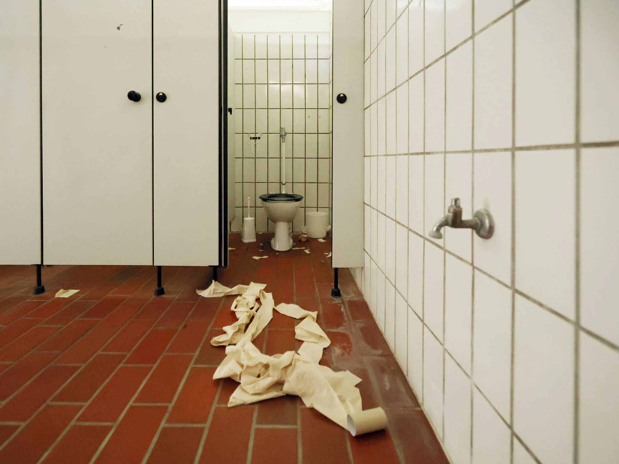 Vor einer Toilette liegt eine ausgerollte Klorolle auf dem Boden.