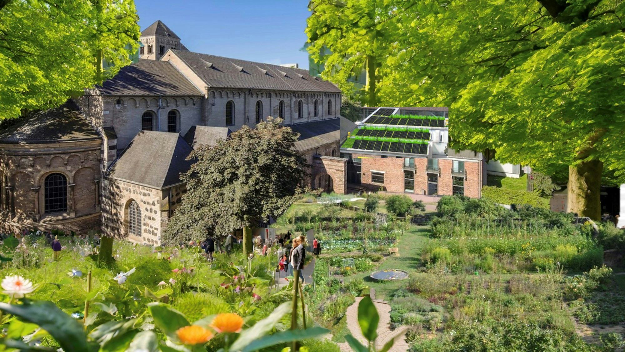 Üppiges Grün und Solardächer – wie ein Innenstadtbiotop soll es an St. Cäcilien und dem Museum Schnütgen einmal aussehen.