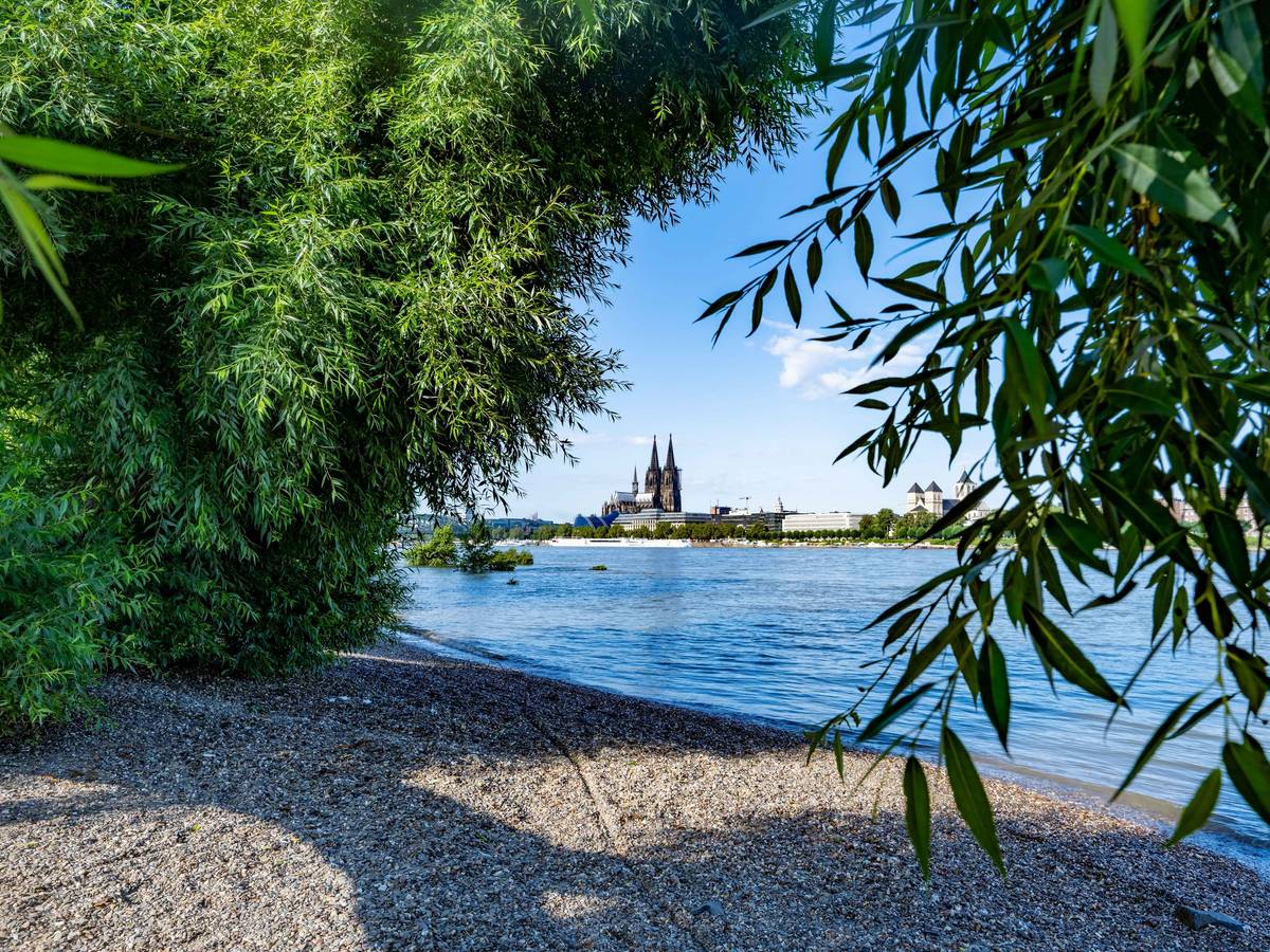Mit Blick auf den Kölner Dom – Strandidylle am Rhein im Rheinpark.