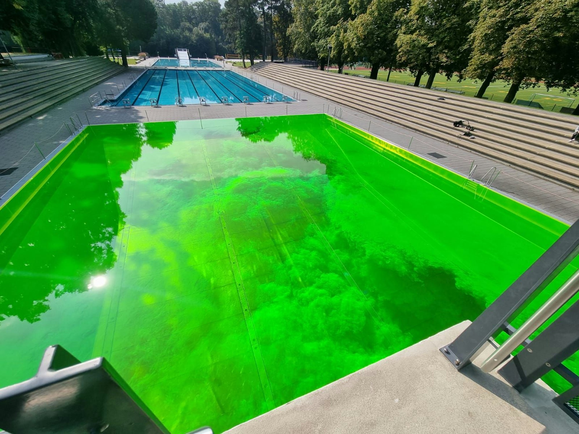 Grünes Wasser in einem Becken des Stadionbades in Köln-Müngersdorf.