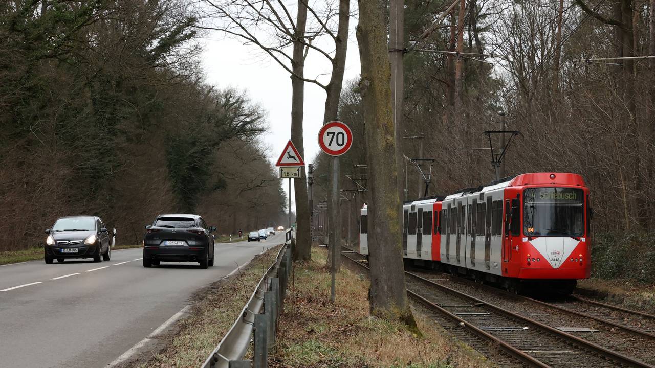 Eine KVB-Bahn der Linie 4 fährt neben Autos an einer Hauptstraße.