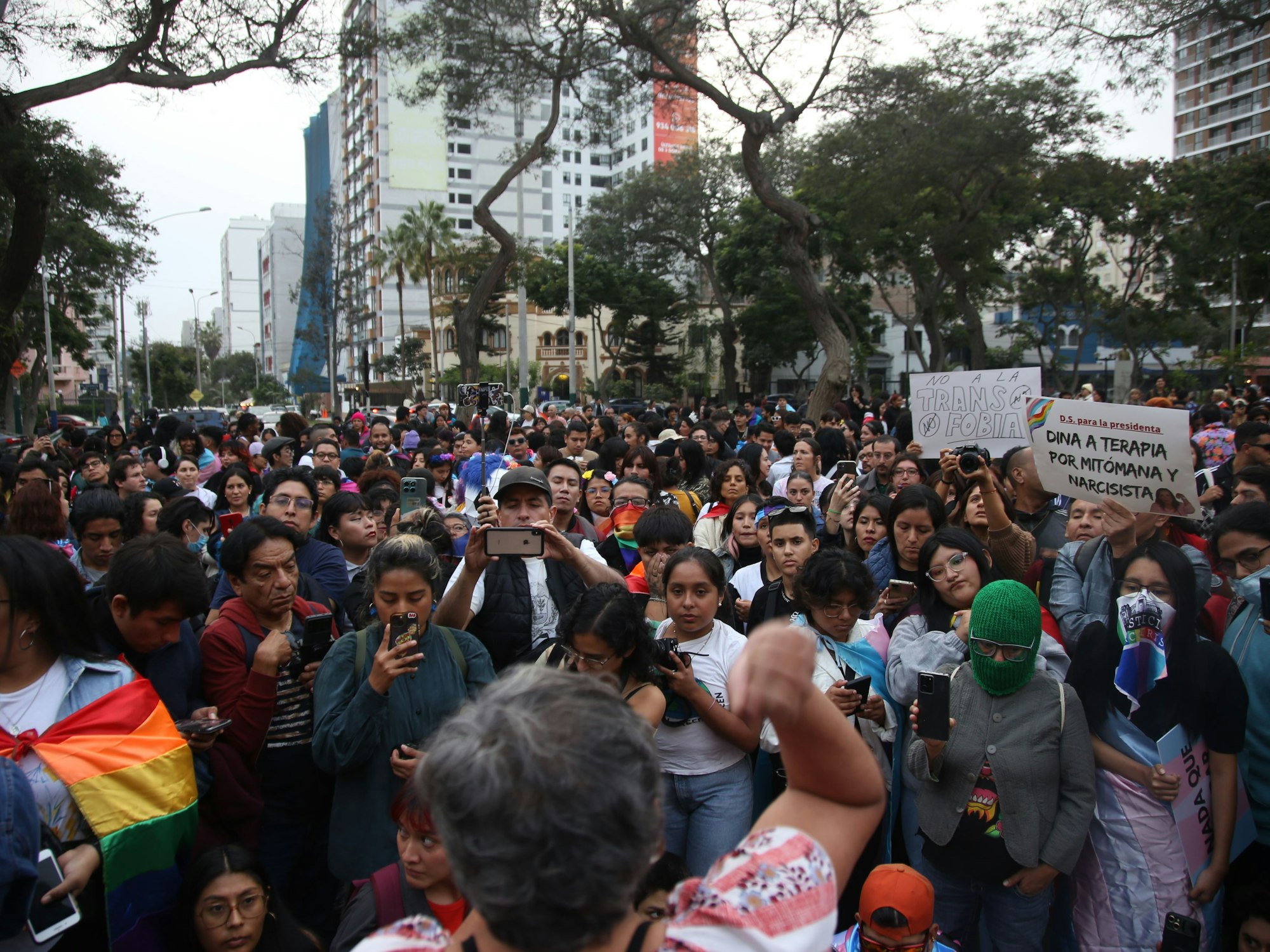 In Peru sind Hunderte Menschen gegen ein Gesetz auf die Straßen gegangen, das trans Personen als „krank“ bezeichnet.