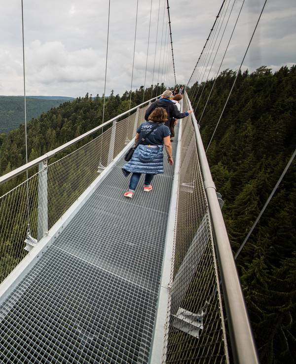 Besucherinnen und Besucher gehen über die „Wildline-Hängebrücke“.