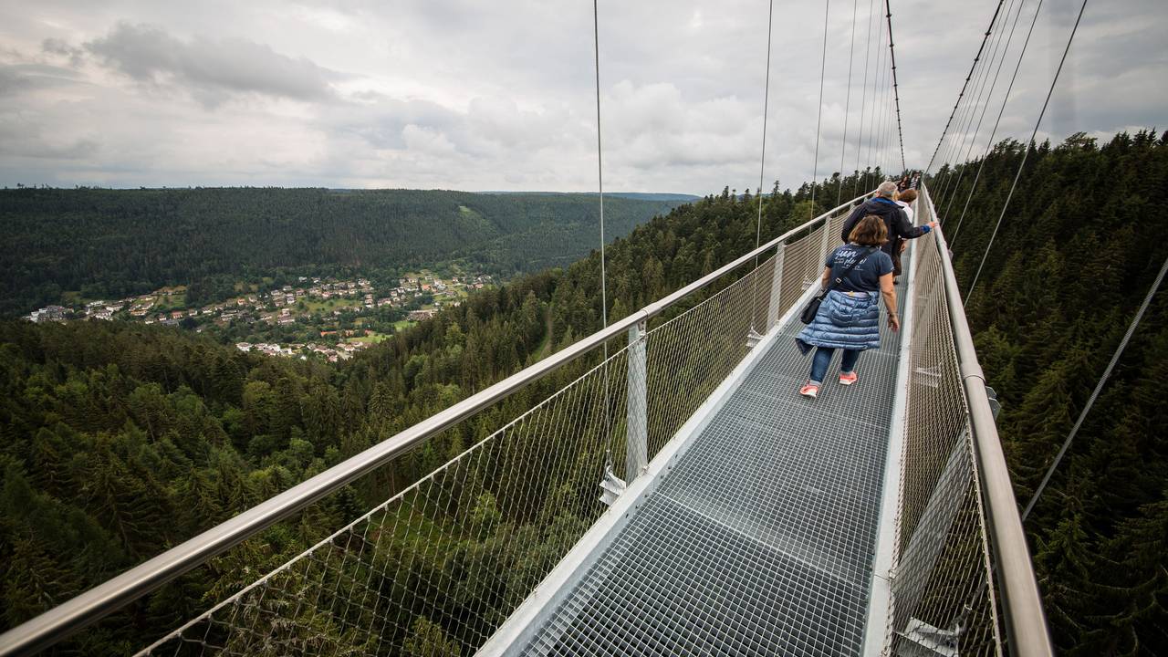 Besucherinnen und Besucher gehen über die „Wildline-Hängebrücke“.