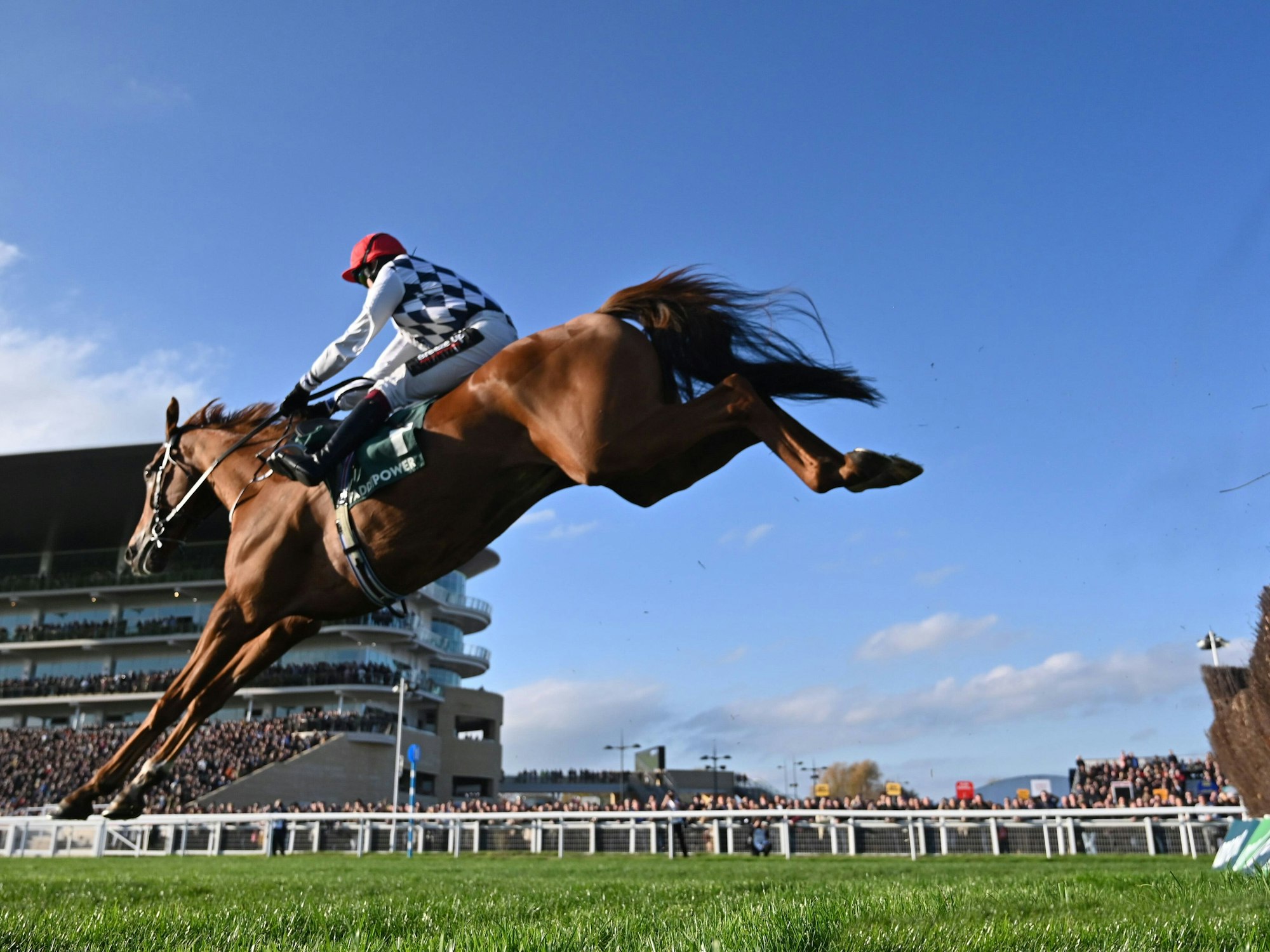 Ein Reiter überspringt mit seinem Pferd ein Hindernis.