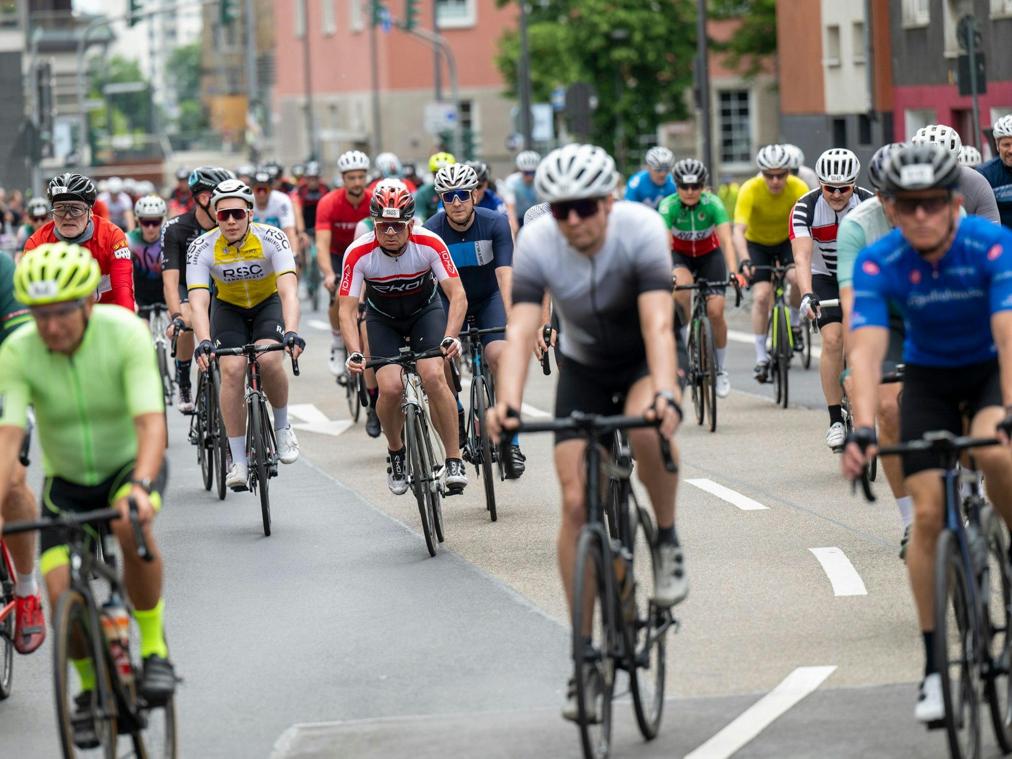 Radprofis fahren beim Rennen Rund um Köln.