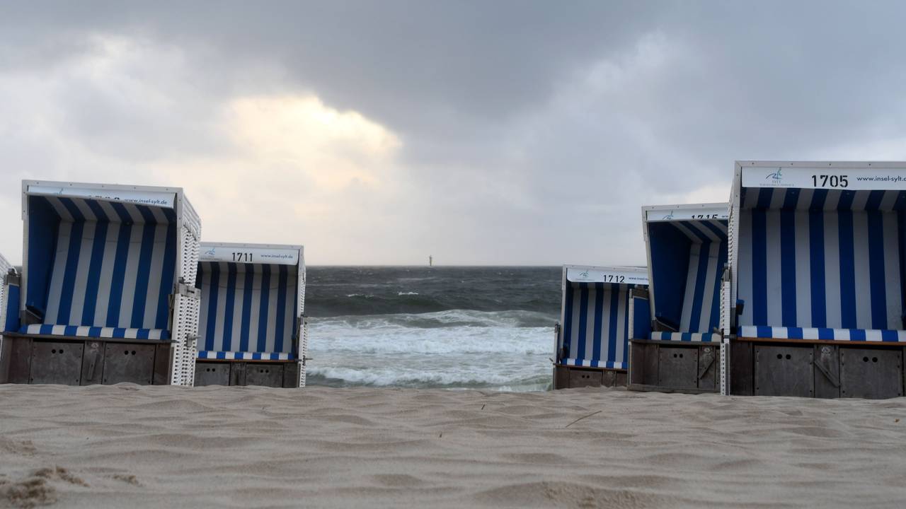 Leere Strandkörbe stehen am Strand.