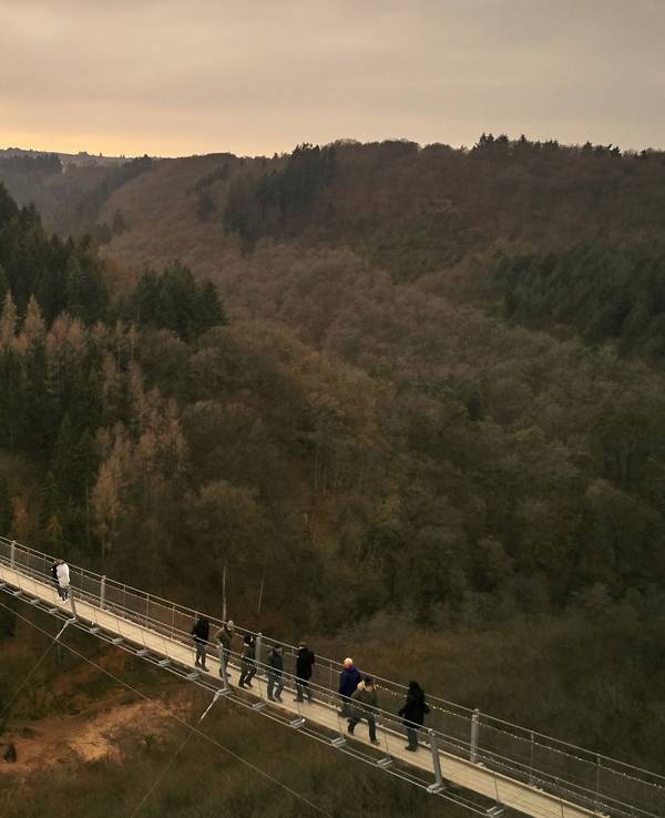 Besucher gehen auf der Hängeseilbrücke Geierlay hoch über einem Mosel-Seitental bei Mörsdorf im Hunsrück