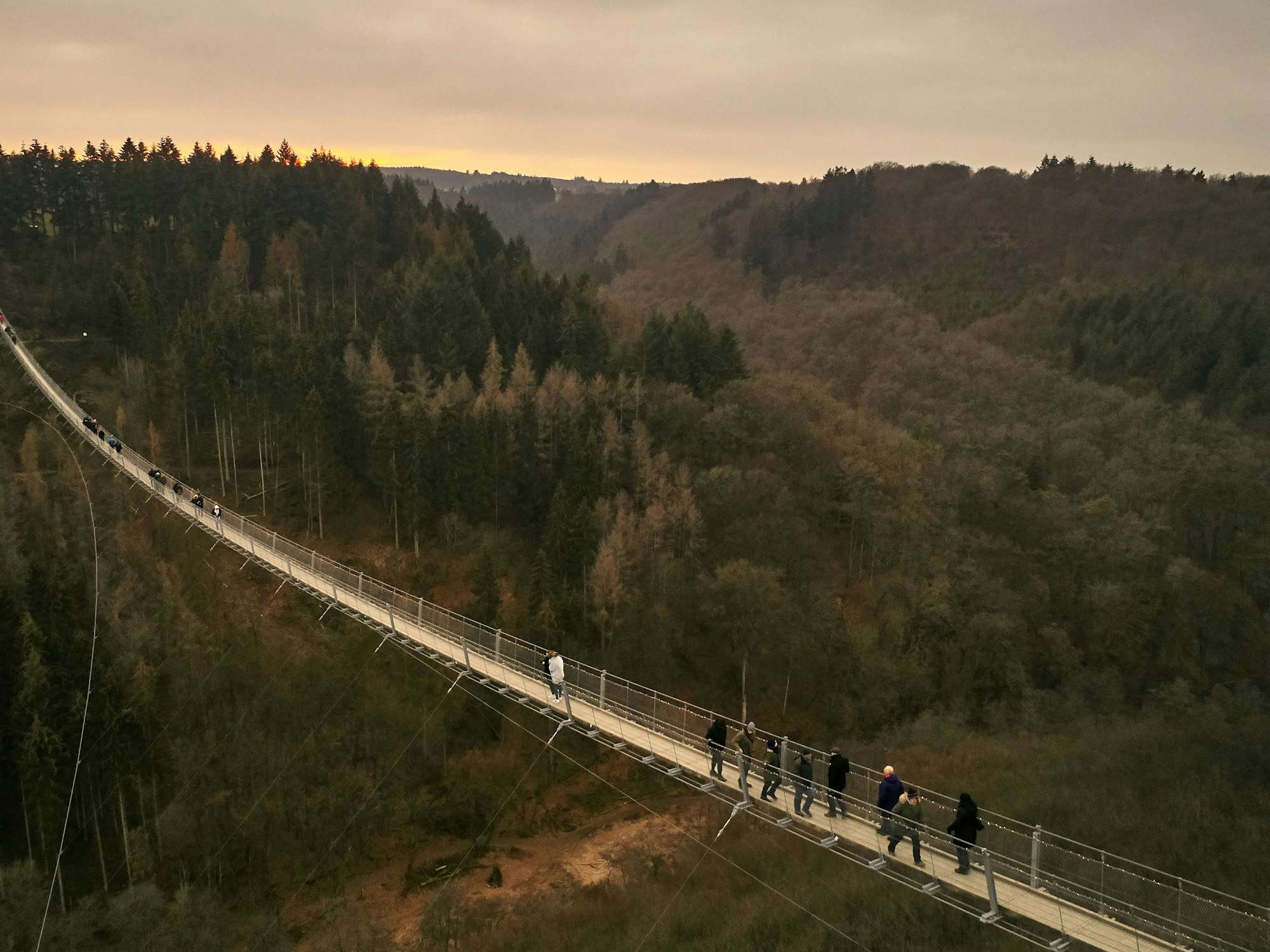 Besucher gehen auf der Hängeseilbrücke Geierlay hoch über einem Mosel-Seitental bei Mörsdorf im Hunsrück