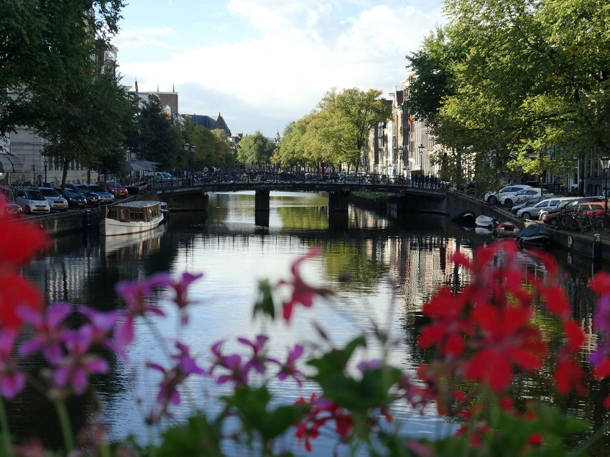 Gracht in Amsterdam - ein Ausflug auf dem Wasser ist hier besonders schön.