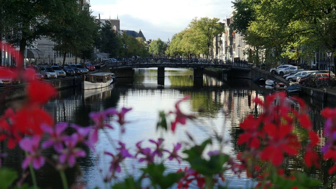 Gracht in Amsterdam - ein Ausflug auf dem Wasser ist hier besonders schön.