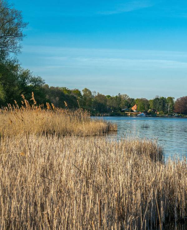 Der Schielowsee in Brandenburg eignet sich perfekt als Ziel für einen Tagesausflug.