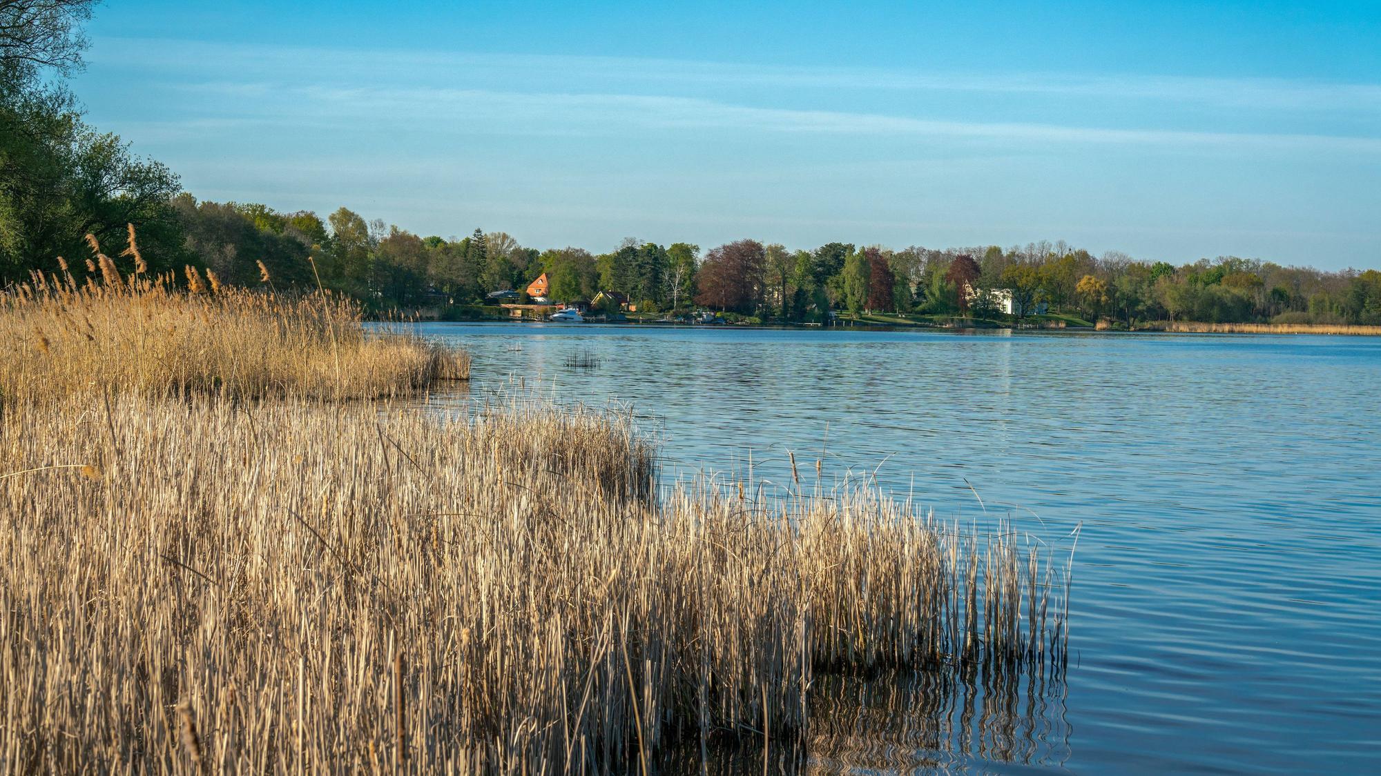 Der Schielowsee in Brandenburg eignet sich perfekt als Ziel für einen Tagesausflug.