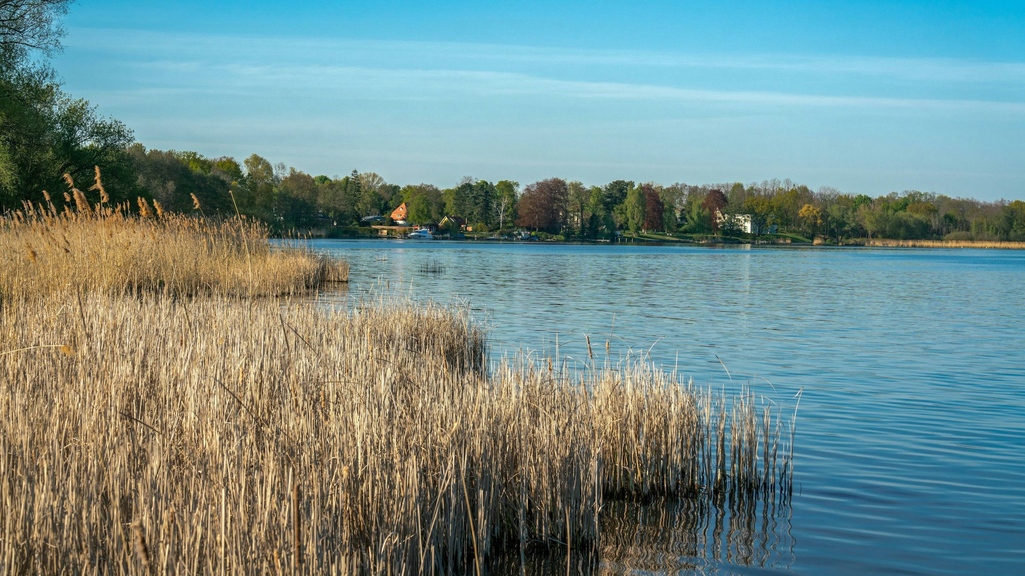 Der Schielowsee in Brandenburg eignet sich perfekt als Ziel für einen Tagesausflug.