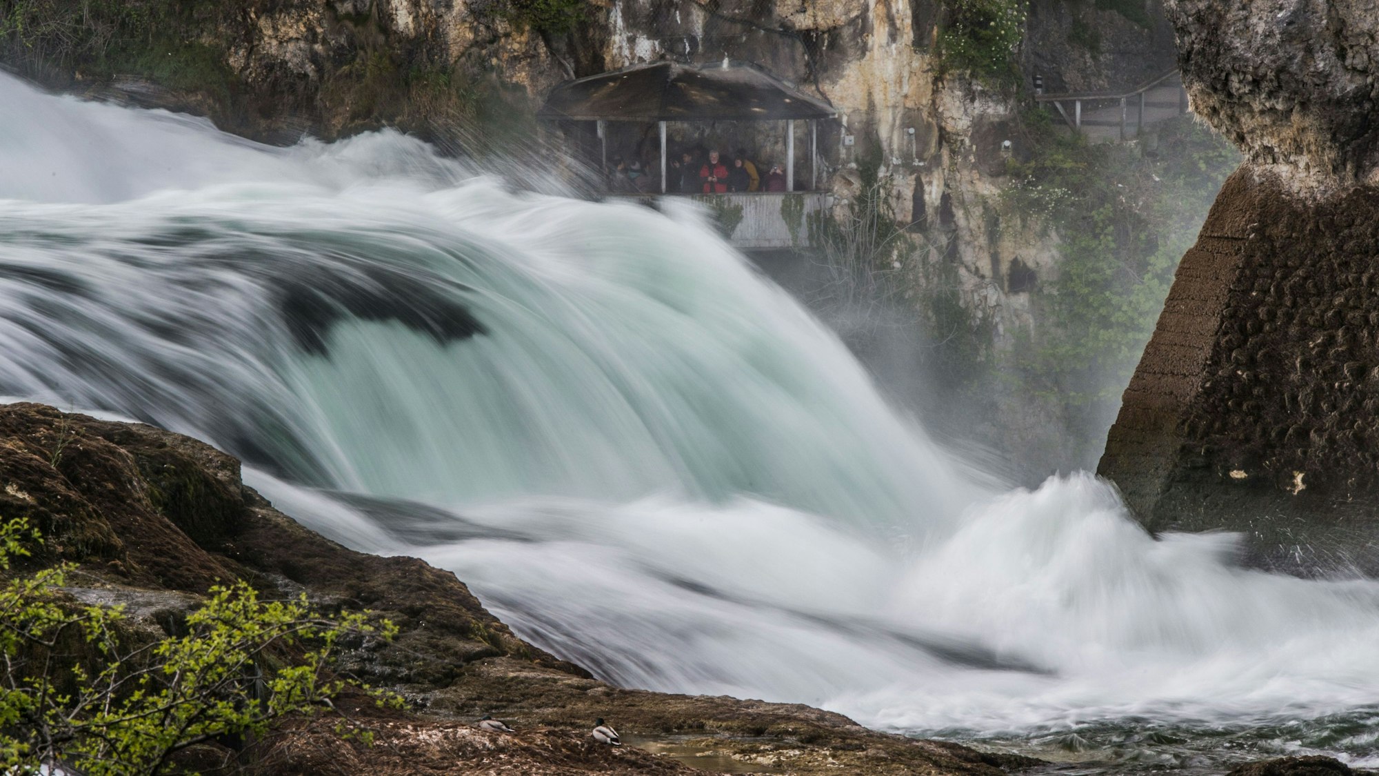 dpatop - A view of the scenic Rhine Falls with the palace of Laufen as a backdrop in Neuhausen Am Rheinfall, Switzerland, 23 April 2017. The Rhine Fall is one of the three largest waterfalls in Europe. Photo: Lino Mirgeler/dpa +++ dpa-Bildfunk +++