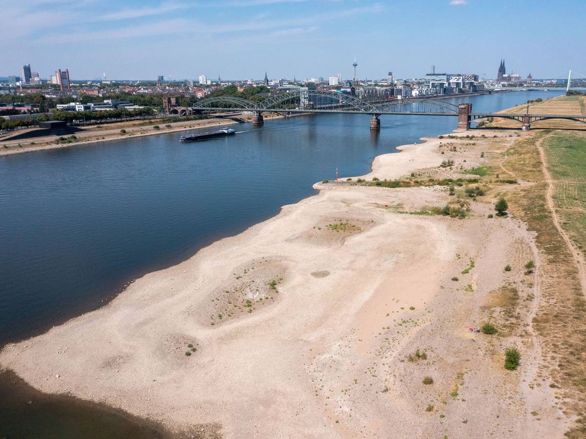 Der Rhein bei Niedrigwasser aus der Vogelperspektive.