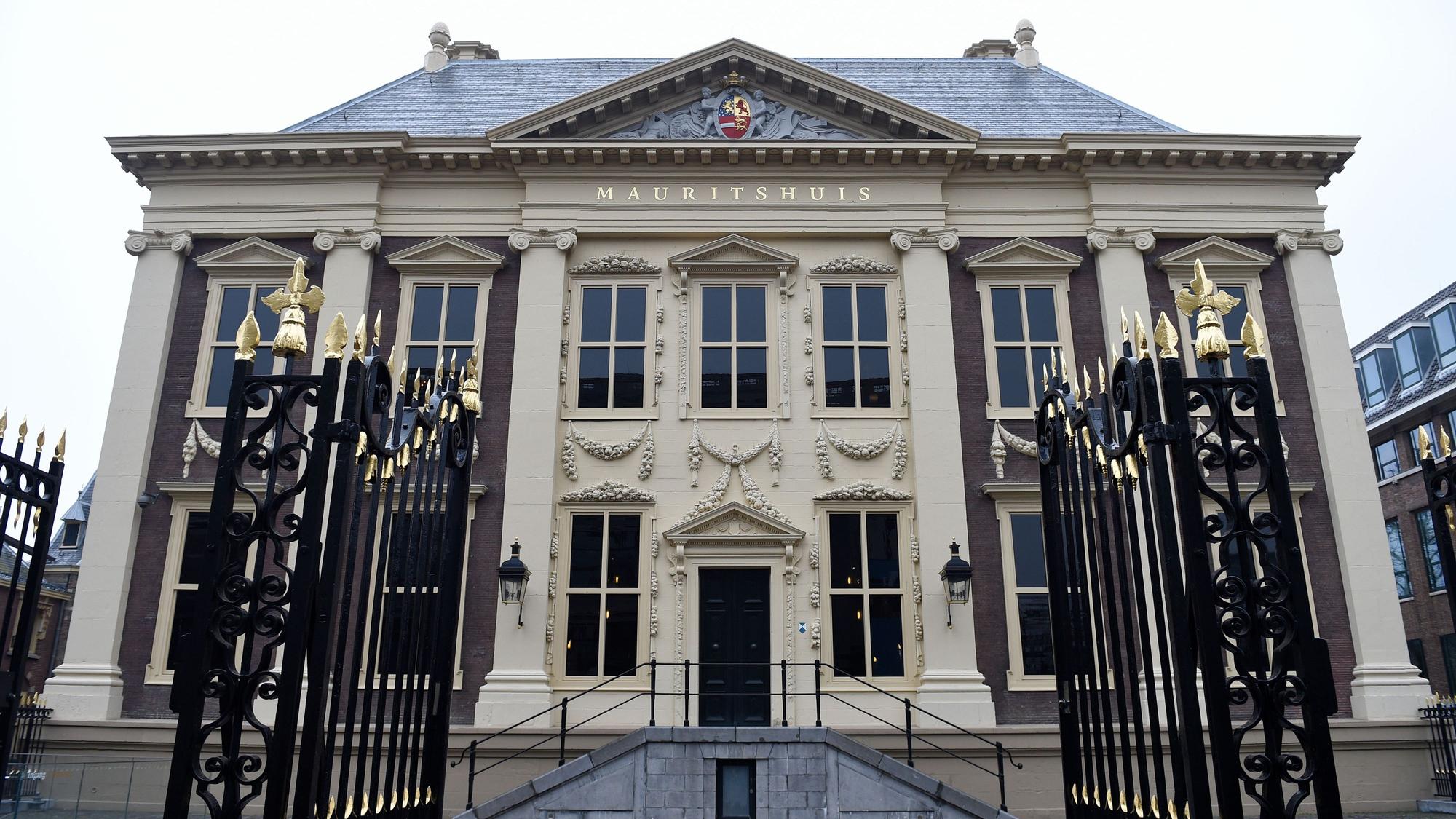 Im Mauritshuis kann man einige bekannte Gemälde in echt bewundern.