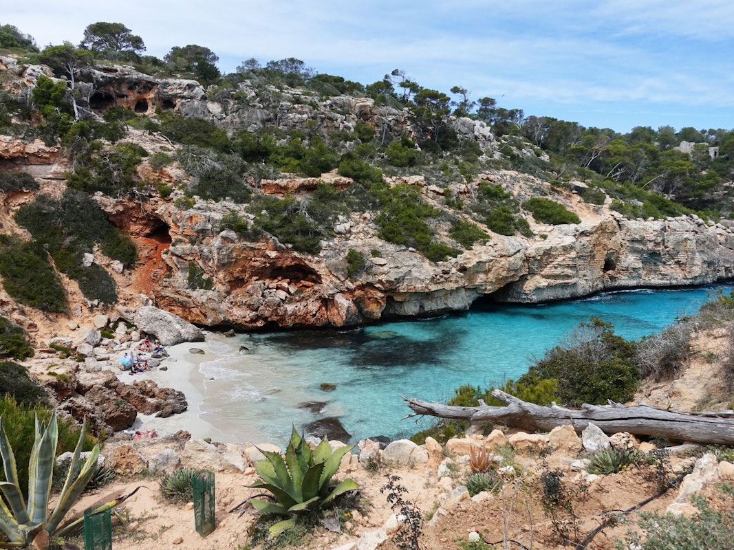 Die Bucht Caló d'es Moro