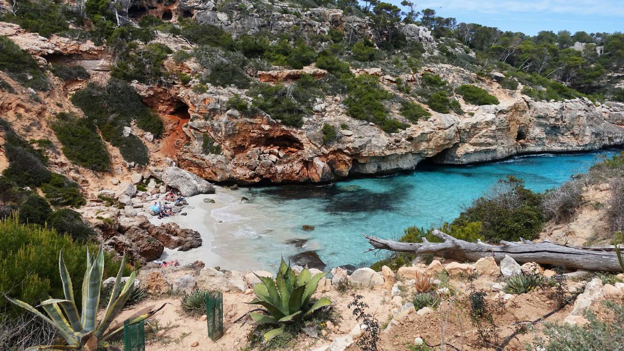 Die Bucht Caló d'es Moro
