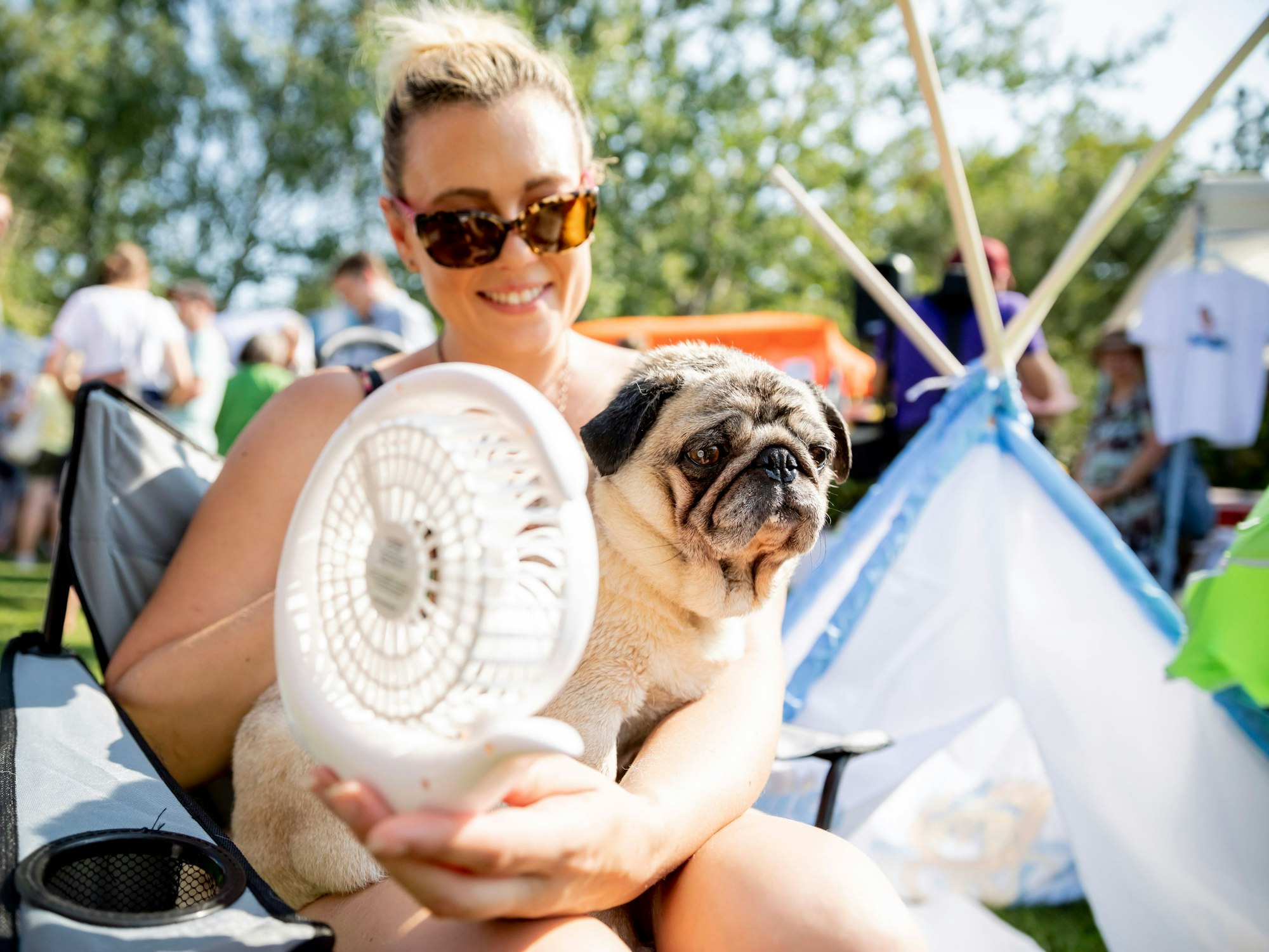 Ein Mops schwitzt bei heißem Wetter. Seine Halterin versucht ihn mit einem Ventilator abzukühlen.