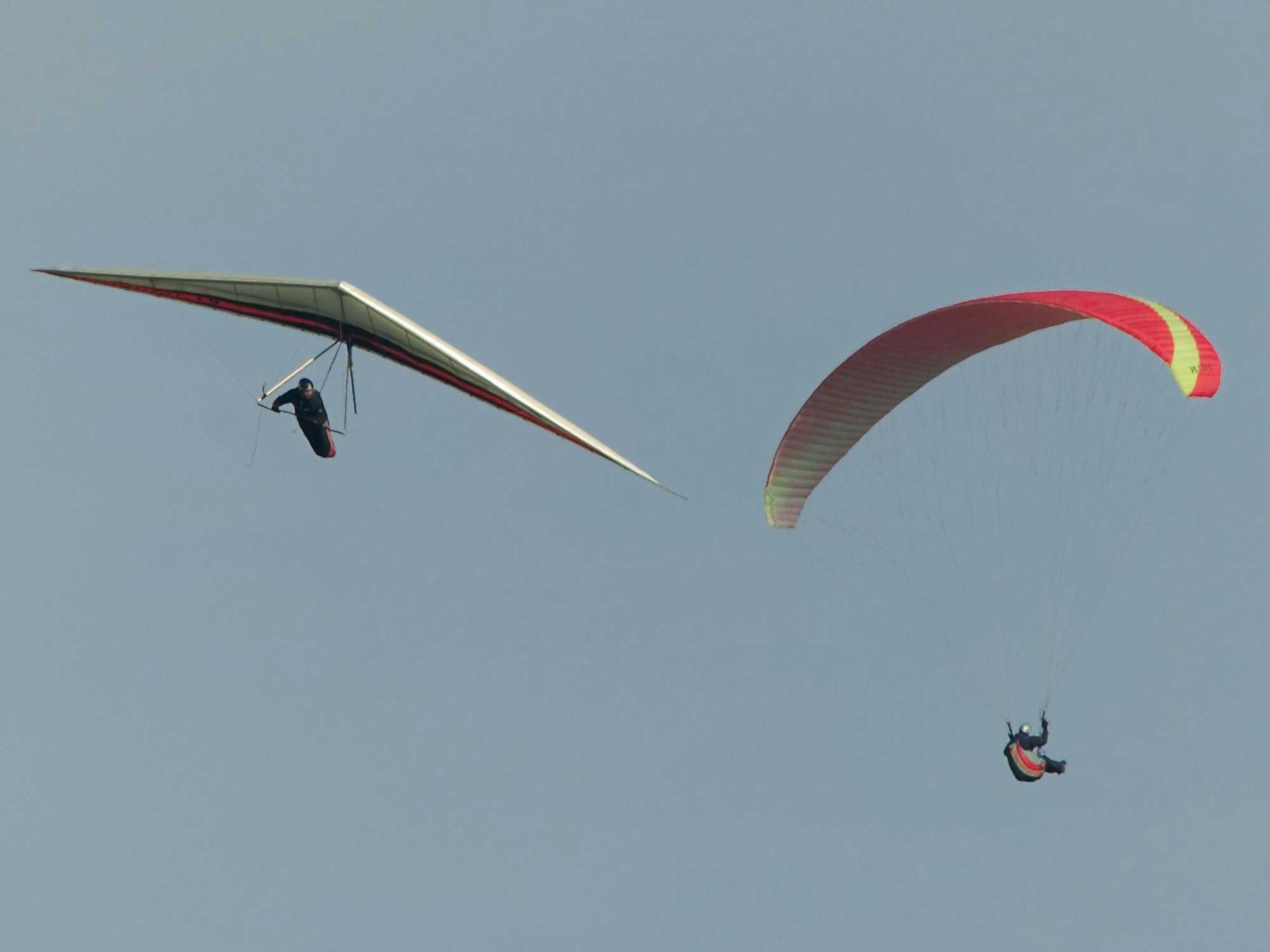 Gleitschirm- und Drachenflieger kreisen am Himmel