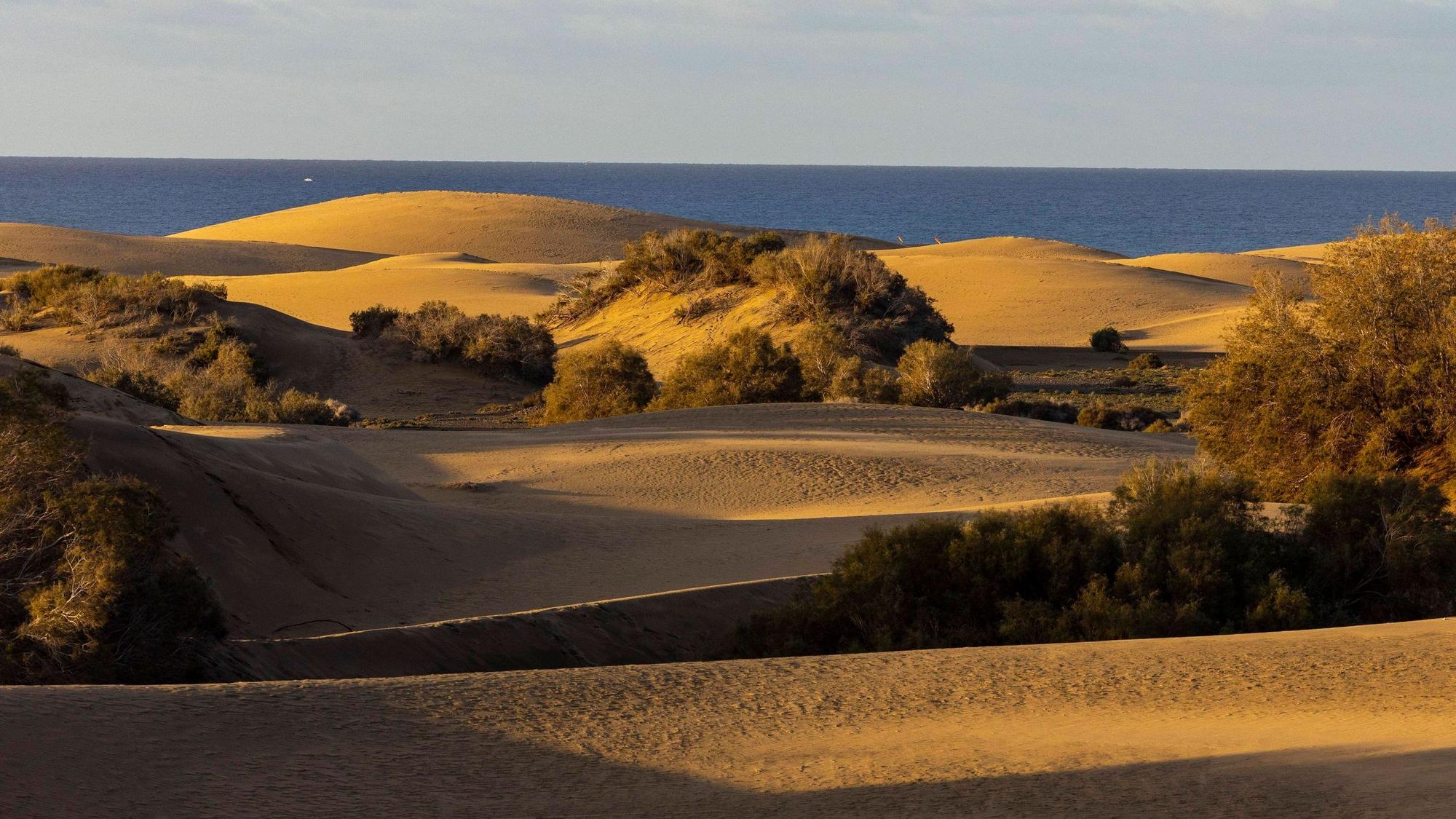Die heißen Dünen von Maspalomas zählen zu den Wahrzeichen Gran Canarias